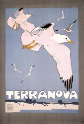 Terranova | Obraz na stenu