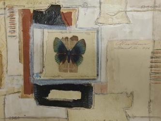 Paper Butterfly | Obraz na stenu