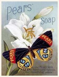 Pears' soap | Obraz na stenu