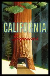 California Sequoias | Obraz na stenu
