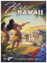Fly Hawaii | Obraz na stenu