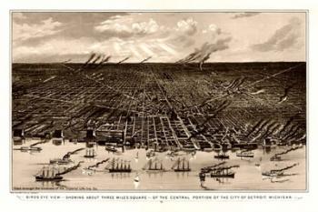 Birds Eye View Of Detroit Michigan 1889 | Obraz na stenu