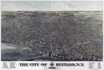Map Of The City Of Buffalo Ny 1880 | Obraz na stenu