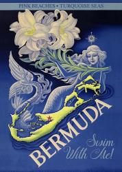 Bermuda Swim With Me | Obraz na stenu
