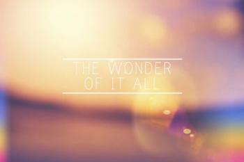 The Wonder | Obraz na stenu