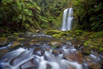 Beauchamp Falls II | Obraz na stenu