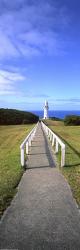 Cape Otway | Obraz na stenu