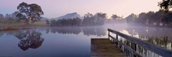 Dunkeld Arboretum | Obraz na stenu