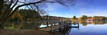 Lake Daylesford 2 | Obraz na stenu