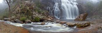 McKenzie Falls | Obraz na stenu