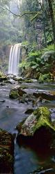 Hopetoun Falls Vert | Obraz na stenu