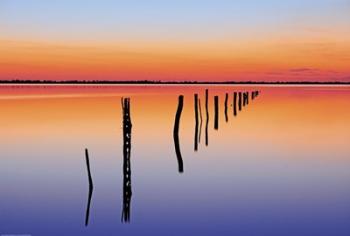 Vanishing Fence Line | Obraz na stenu