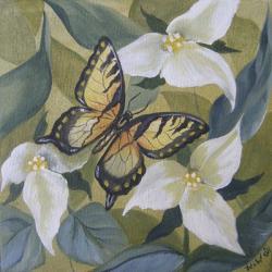 Large Butterfly and Trillium | Obraz na stenu