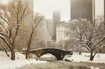 Central Park Bridge | Obraz na stenu