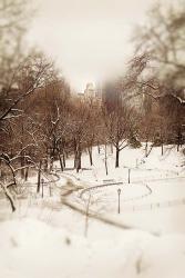 Central Park in Winter | Obraz na stenu