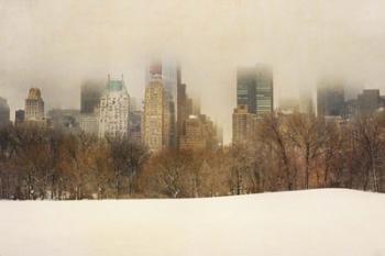 Foggy Central Park | Obraz na stenu
