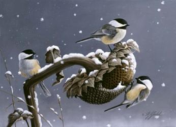 Winter Trio | Obraz na stenu