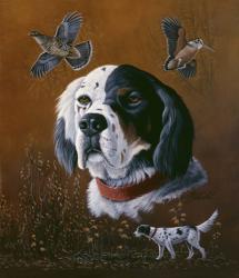 English Setter | Obraz na stenu