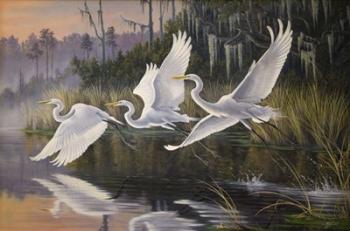 Morning Departure Egrets | Obraz na stenu