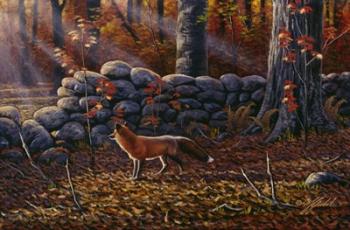Autumn Reds - Red Fox | Obraz na stenu