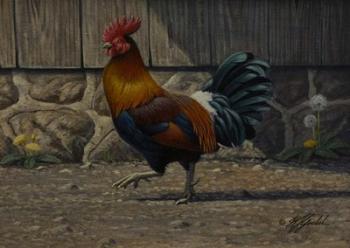 Barnyard Strut - Bantam Rooster | Obraz na stenu