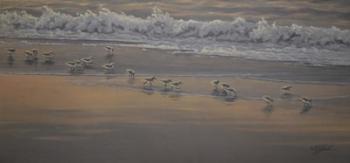 Morning Surf And Sanderlings | Obraz na stenu