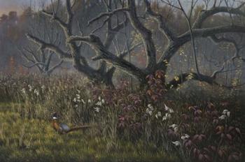 Old Orchard and Pheasant | Obraz na stenu