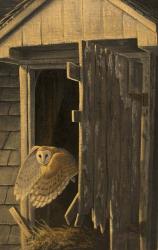 Out of the Darkness - Barn Owl | Obraz na stenu