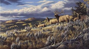 King Of The Hill - Elk | Obraz na stenu