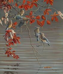 Autumn Harvest - Cedar Waxwing | Obraz na stenu