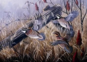 Corner Post Covey - Bobwhite | Obraz na stenu