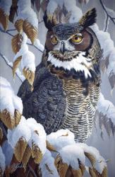 Winter Watch - Great Horned Owl | Obraz na stenu