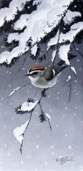 Winter Sprite - Golden Crown Kinglet | Obraz na stenu