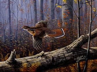 Windfall Glider - Ruffed Grouse | Obraz na stenu