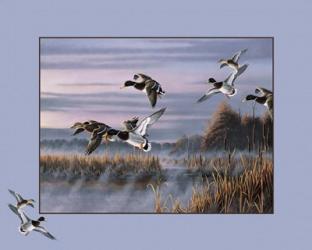 Ducks In Flight 1 | Obraz na stenu