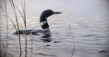 Emerging Loon | Obraz na stenu