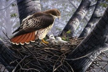 In The Nest | Obraz na stenu