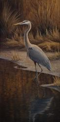 Heron Wading | Obraz na stenu
