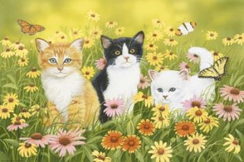 Kittens in the Garden | Obraz na stenu