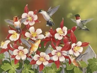 Hummingbird Feeding Frenzy | Obraz na stenu
