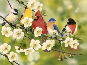 Songbirds On a Flowering Branch | Obraz na stenu