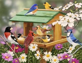 Backyard Birds Spring Feast | Obraz na stenu