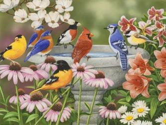 Garden Birdbath | Obraz na stenu