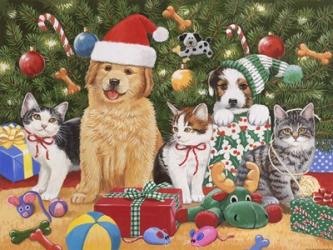 Puppies & Kittens Christmas | Obraz na stenu