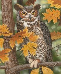 Autumn Owl | Obraz na stenu