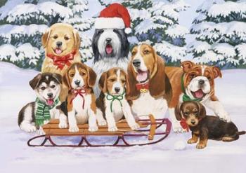 Sled Dogs | Obraz na stenu