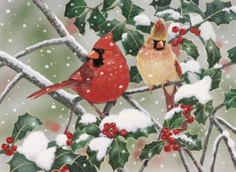 Snowy Perch - Cardinals | Obraz na stenu