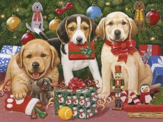 Which One's Mine - Xmas Puppies | Obraz na stenu