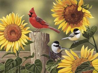 Sunflowers and Songbirds | Obraz na stenu