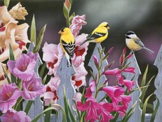 Feathered Friends and Gladiolus | Obraz na stenu